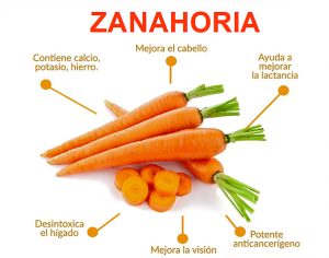 Beneficios De La Zanahoria - Tu Informativo